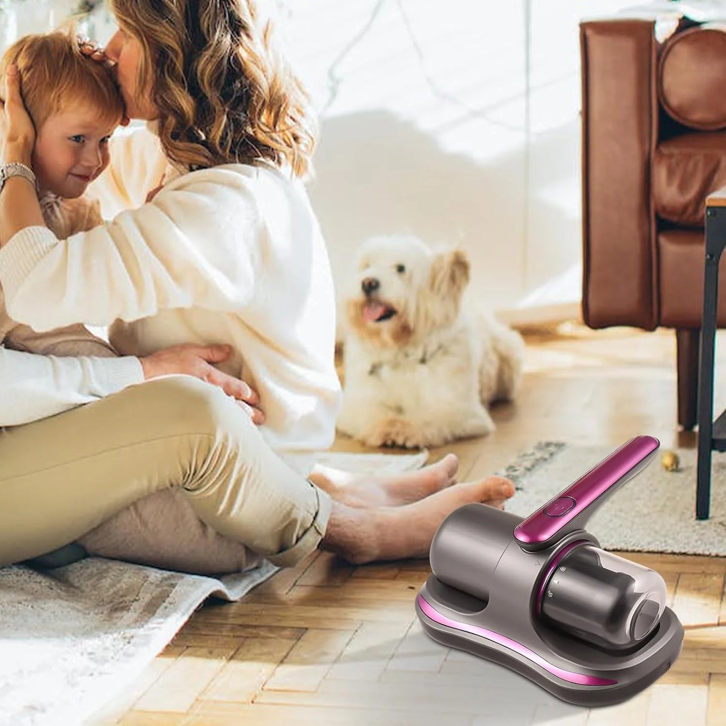 Cordless Vacuum Cleaner Mite Removal